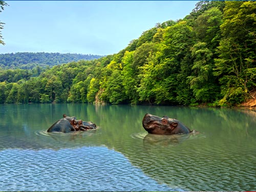 ویزای غنا