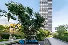 ramada sukhumvit hotel