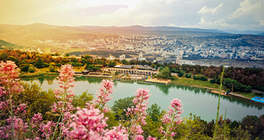 دریاچه لاک پشت