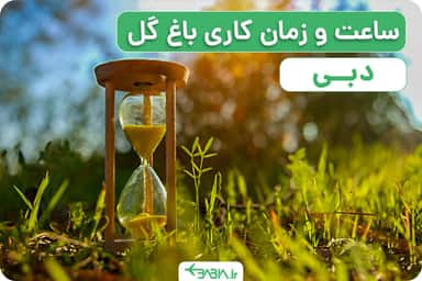 باغ گل دبی کجاست؟ ساعت و زمان کاری باغ گل دبی.