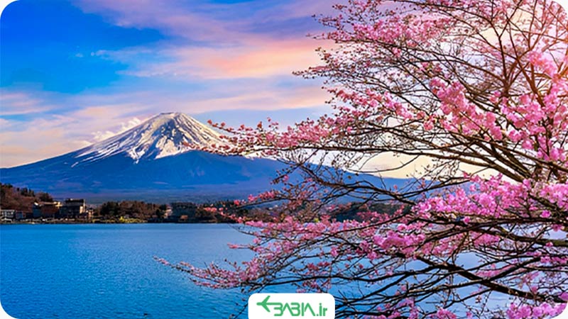 ویزای ژاپن
