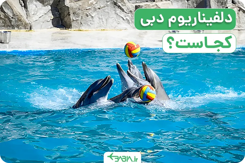 دلفیناریوم دبی کجاست؟