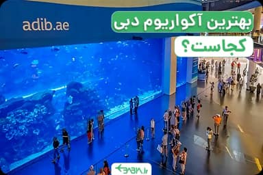 بهترین آکواریوم دبی