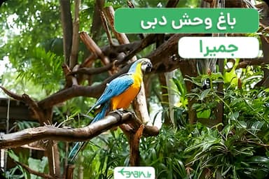 باغ وحش جمیرا