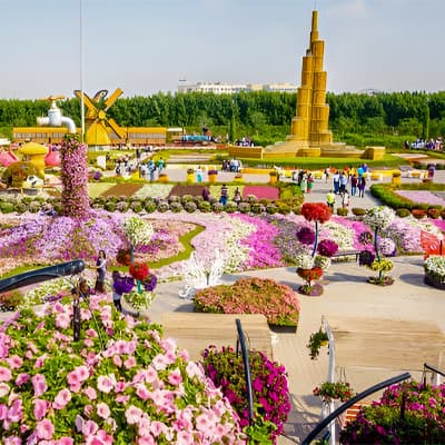 باغ گل دبی کجاست؟ – لیست قیمت بلیط باغ گل دبی 2025
