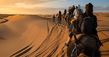 کویر گردی