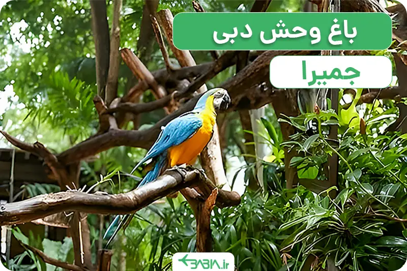 باغ وحش جمیرا