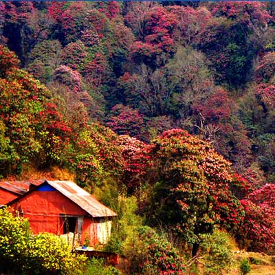 ویزای نپال