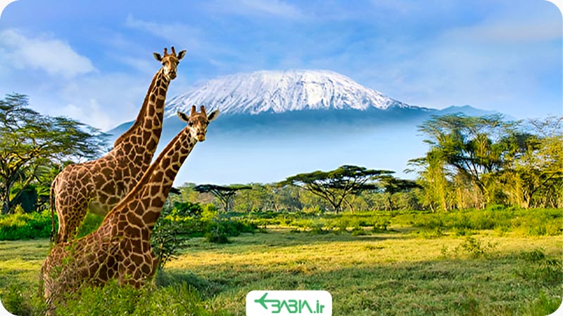 ویزای کنیا